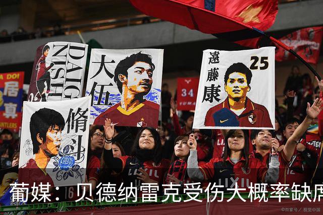 葡媒：贝德纳雷克受伤大概率缺席联赛首轮，波尔图对草皮情况不满